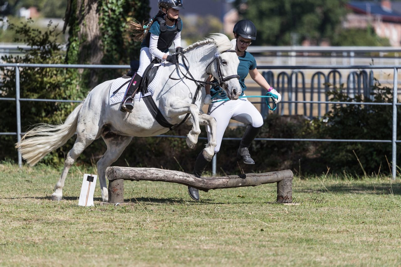 Bild 44 - Pony Akademie Turnier